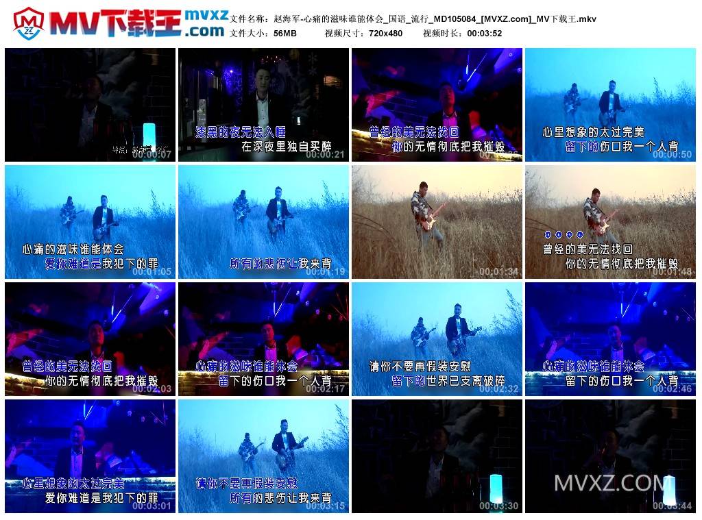 赵海军-心痛的滋味谁能体会_国语_流行_MD105084